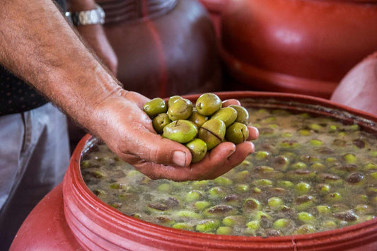 FreshAlb- Albanian Ullinj Berati Olives 700g